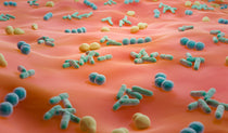 Colorful microscopic view of bacteria on a light pink surface