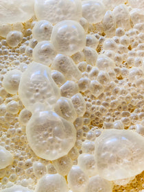 Close-up of a yellow sponge with white foam bubbles