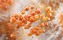 Close-up of orange bubbles on a textured beige background